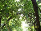 100_9571
