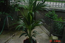 poze noi 053