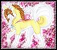 candy_the_wolf