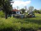 Picture 031