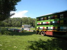 Picture 036