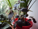 DSC01726