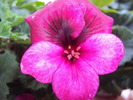 DSC01727