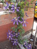 DSC01731
