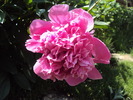 DSC01758