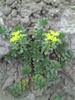 PICT0001