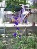 PICT0006