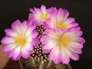 DSC08780