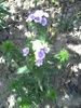 PICT0019