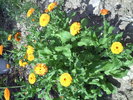 PICT0020