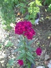 PICT0021