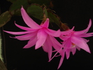DSC08787