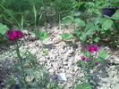 PICT0049