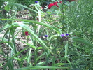 PICT0055