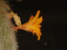 DSC08804