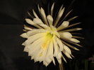 DSC08819