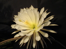 DSC08820