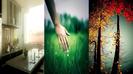 Naturea