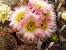 DSC08401