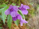 DSC05395
