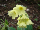 DSC05400