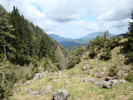 DSC05415