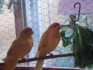 DSC03068