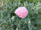 290520103525