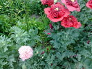 290520103547