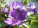 P1260747