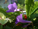 P1260748