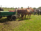 DSC00478