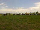 DSC00506