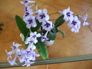 Picture 005