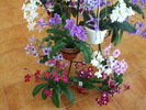 Picture 022