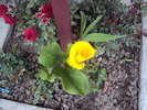 DSC02231