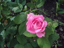 DSC02240