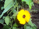 DSC02244