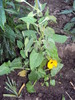 DSC02245