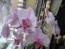 Picture 097