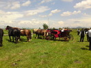 DSC00530