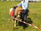DSC00531