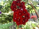 SP_A0880