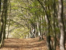 PICT0037