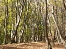PICT0059