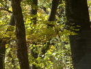 PICT0065