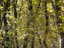 PICT0066