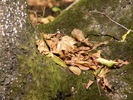 PICT0067