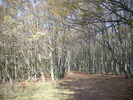 DSCN0903