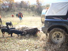DSCN0950